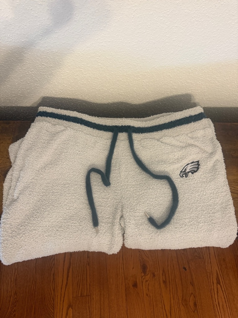 Light Gray NFL Philadelphia Eagles Fuzzy SweatPants - Picture 4 of 4